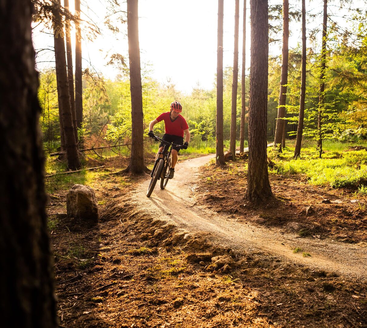 Ein Mann fährt mit einem Sportfahrrad durch den Wald